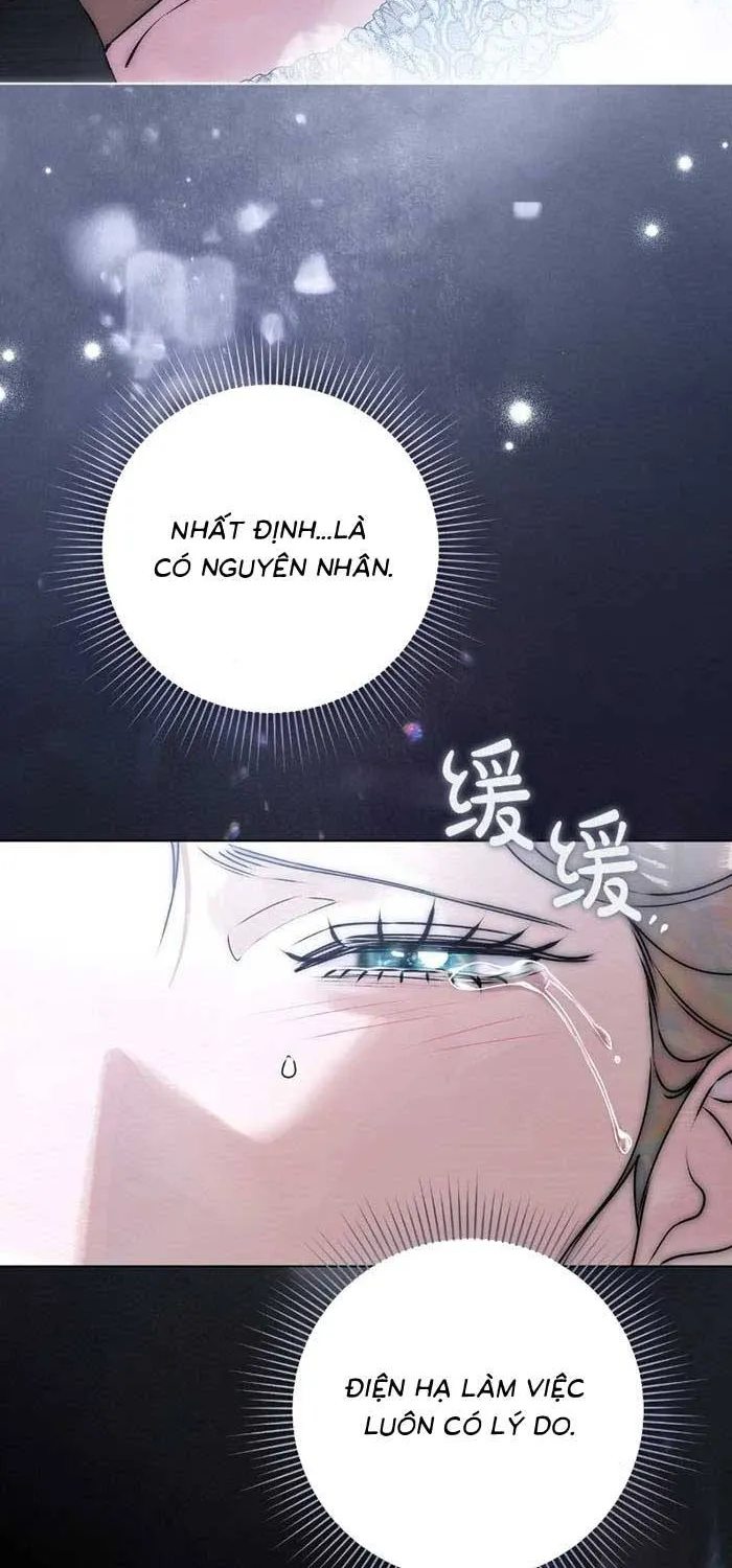 Chapter 37 - Trang 41