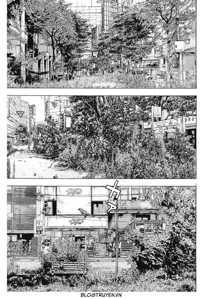 Chương 260 - Trang 3