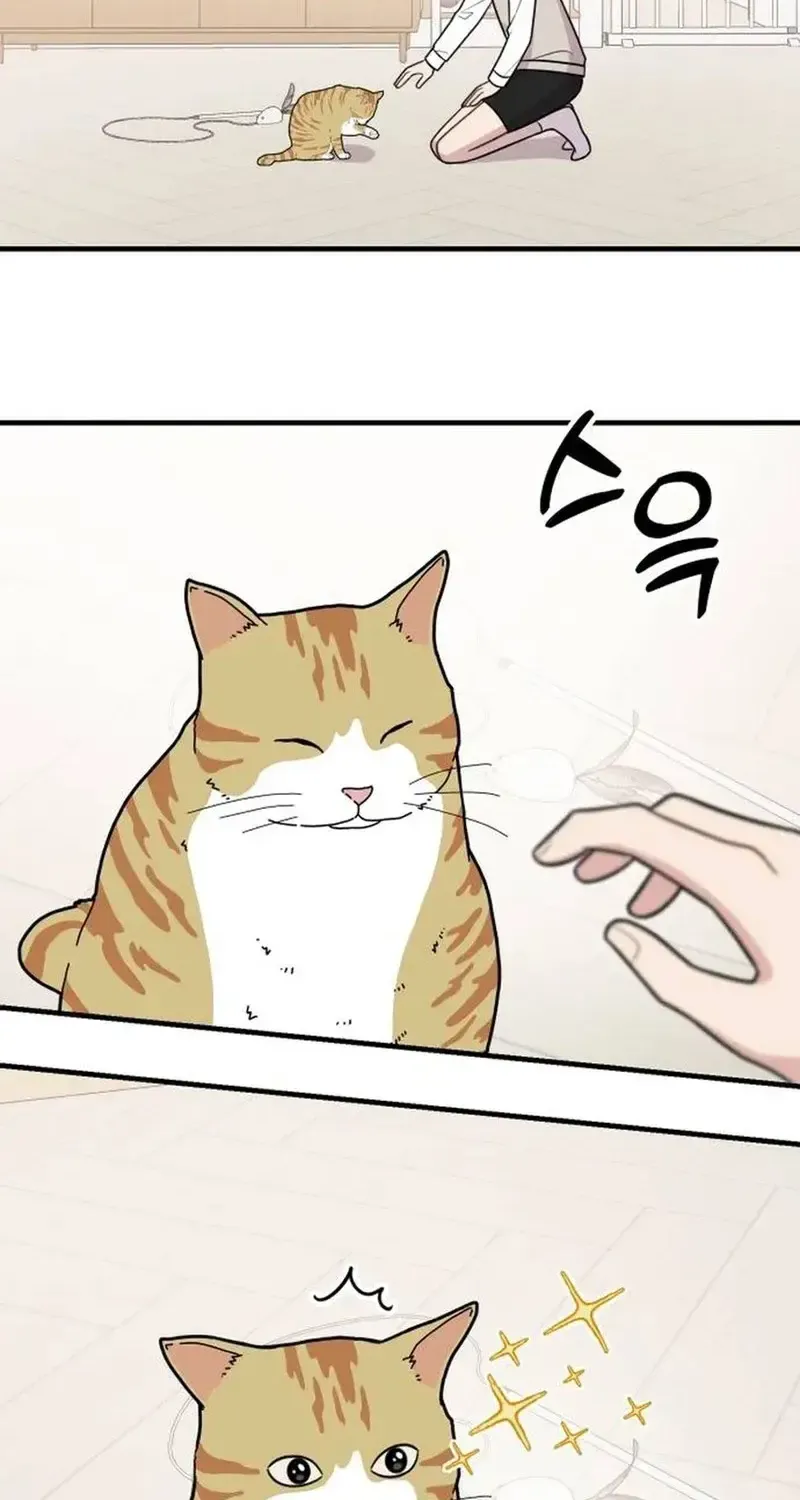 Chapter 18 - Trang 48
