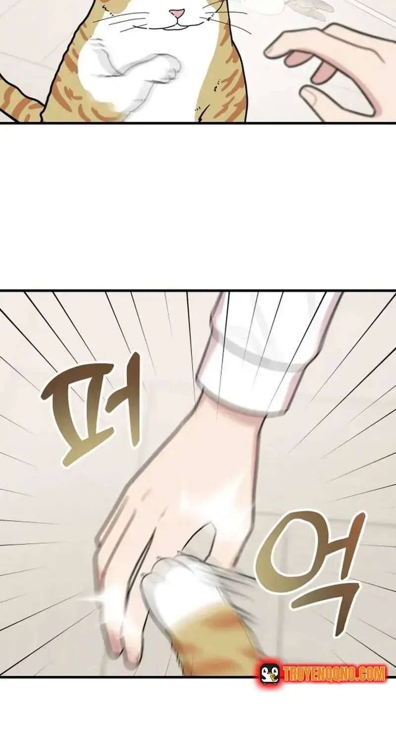 Chapter 18 - Trang 49