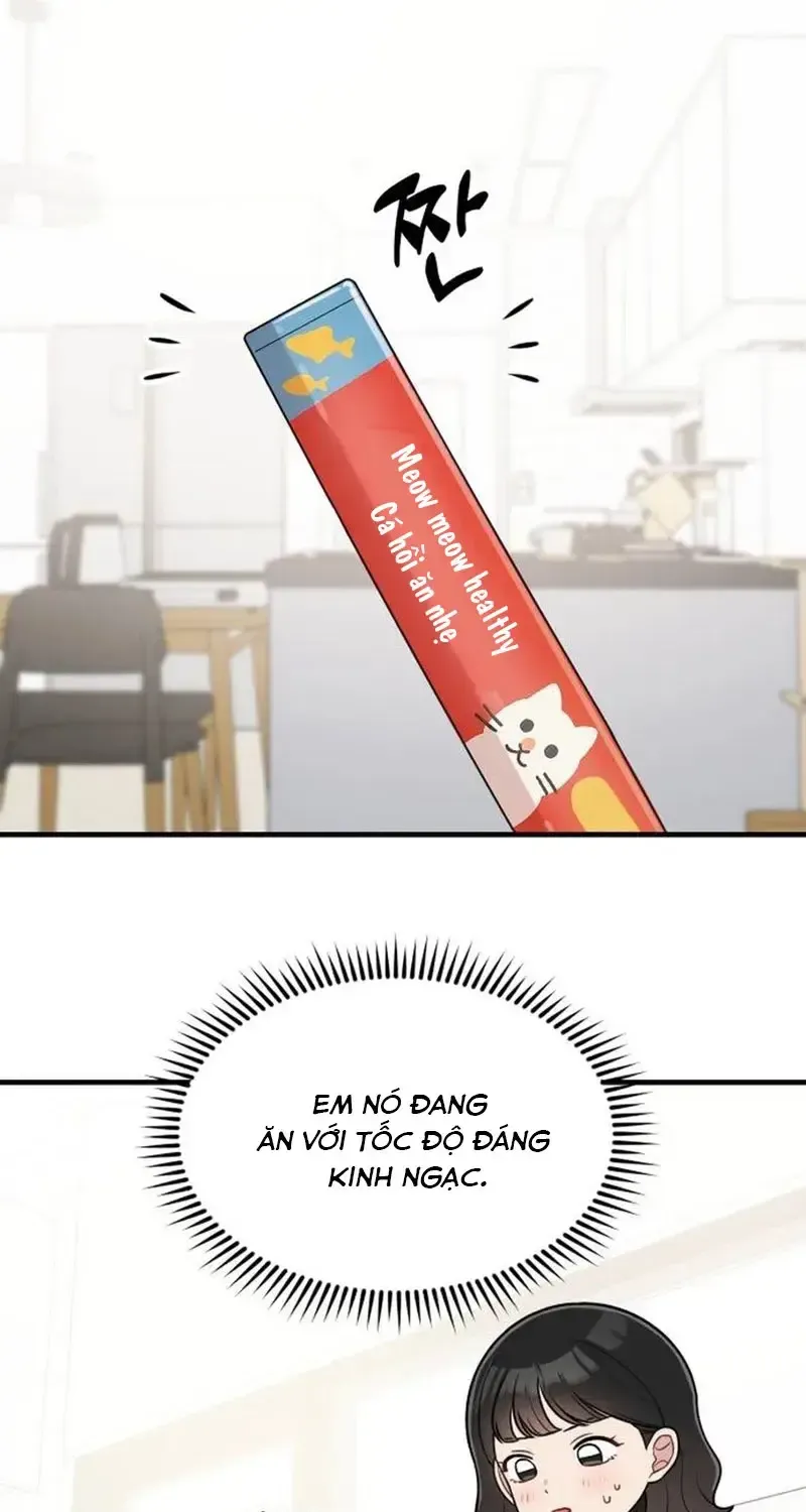 Chapter 19 - Trang 3