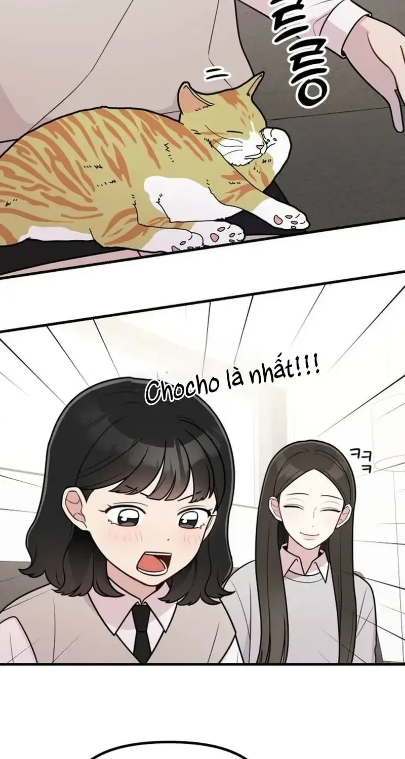 Chapter 19 - Trang 5