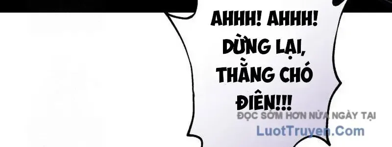 Chương 12 - Trang 524
