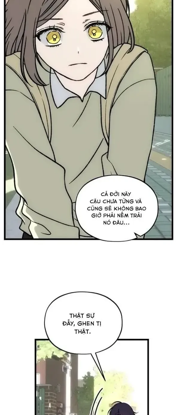 Chapter 13 - Trang 73