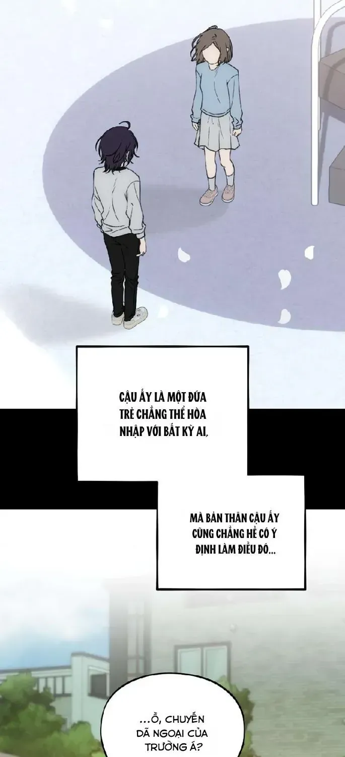 Chapter 20 - Trang 30