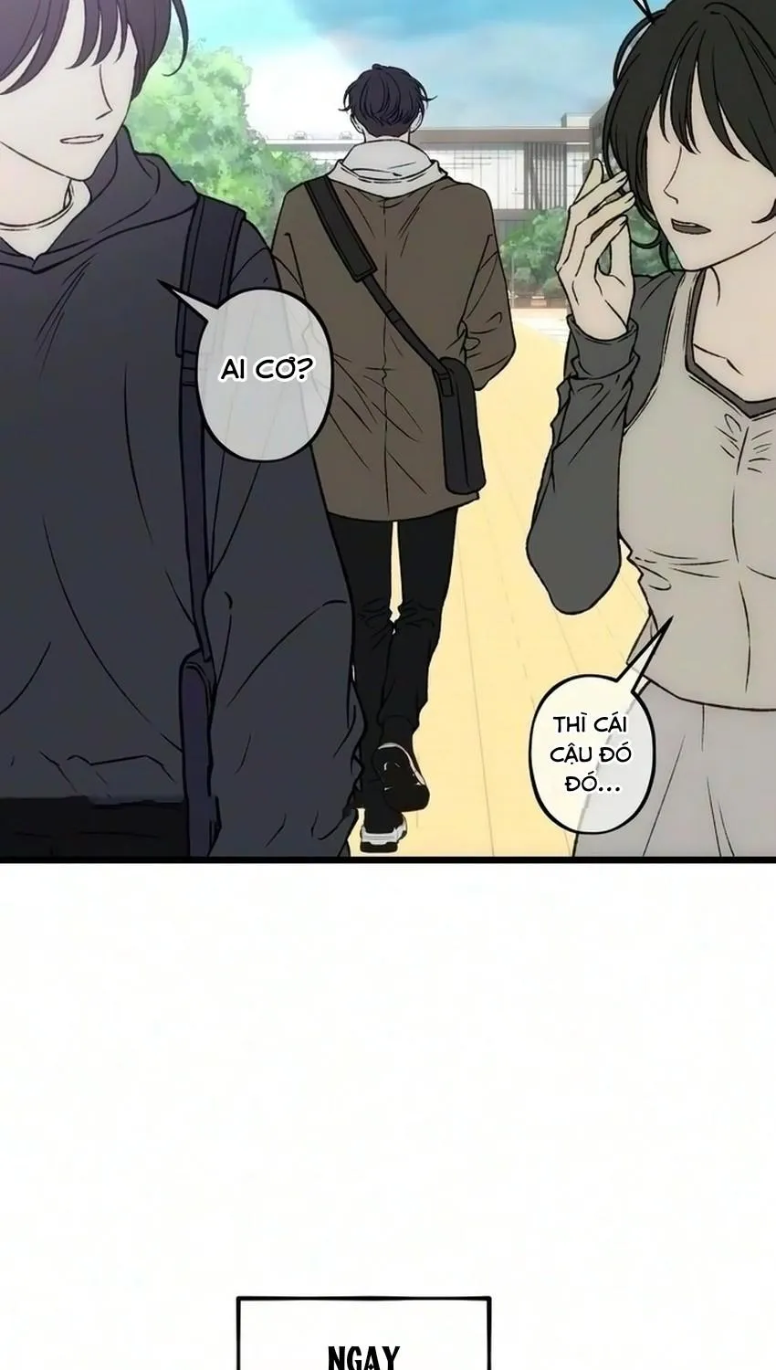 Chapter 24 - Trang 11
