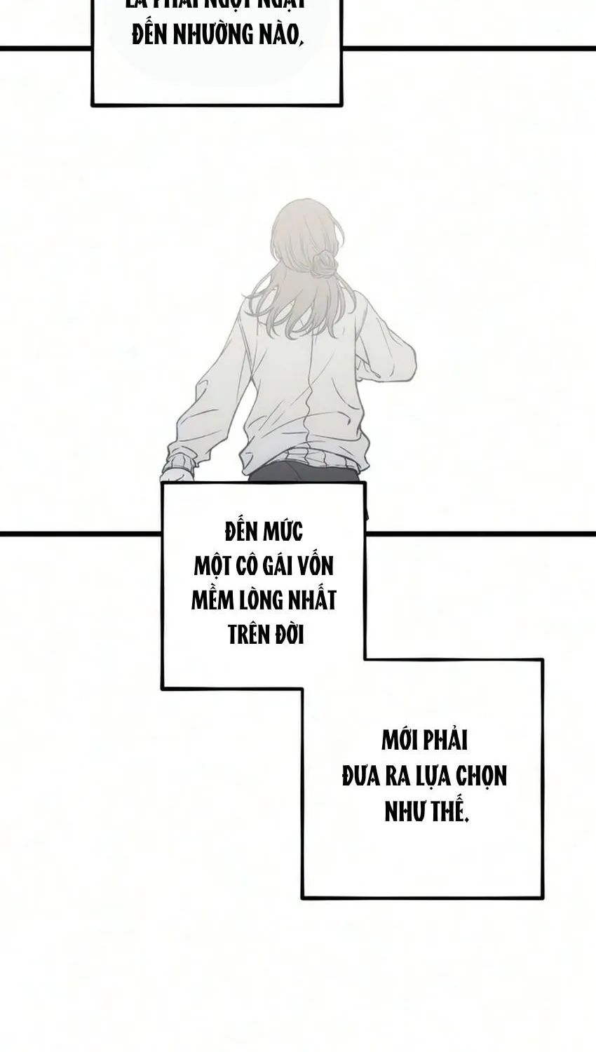 Chapter 24 - Trang 22