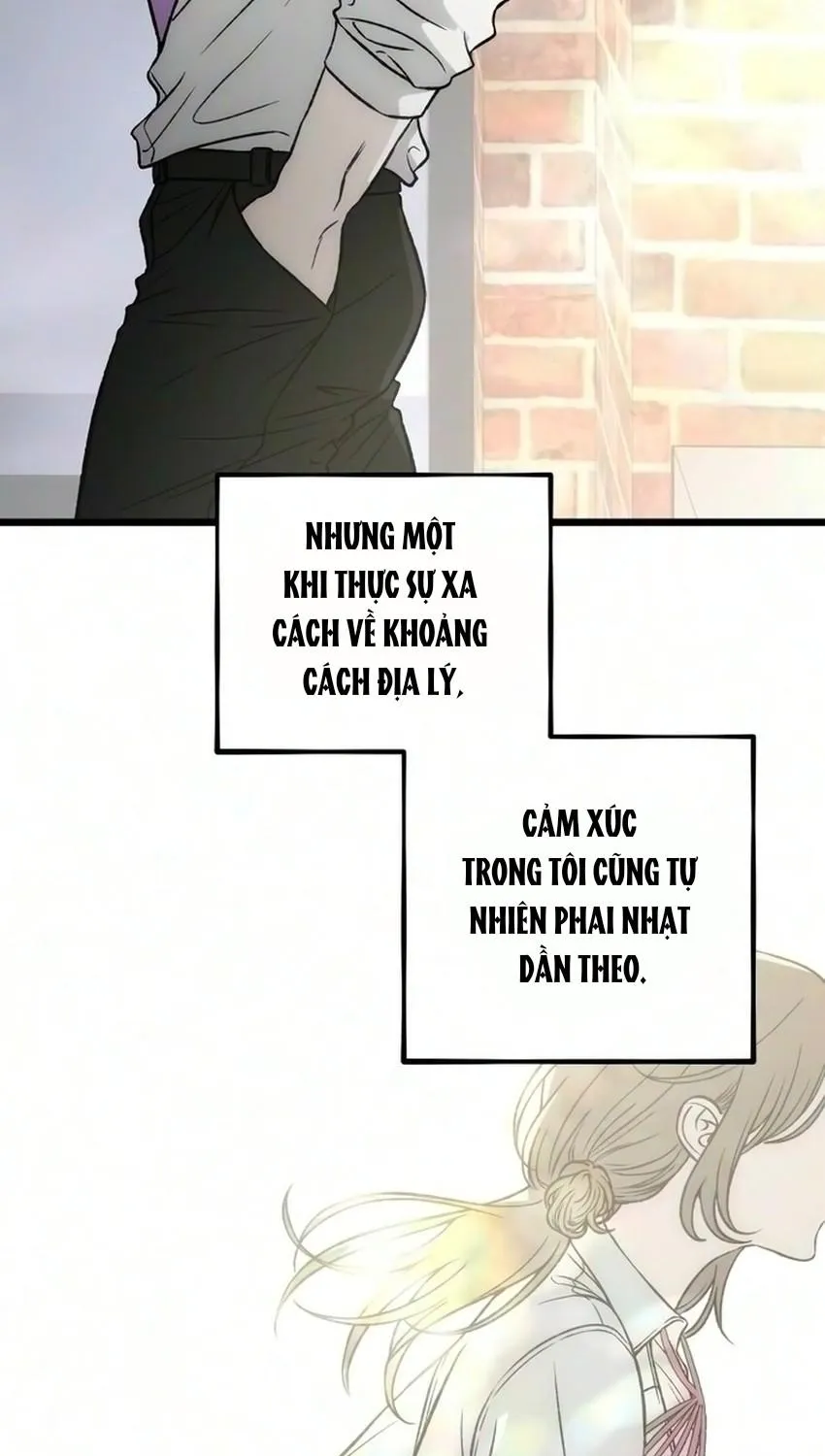 Chapter 24 - Trang 27