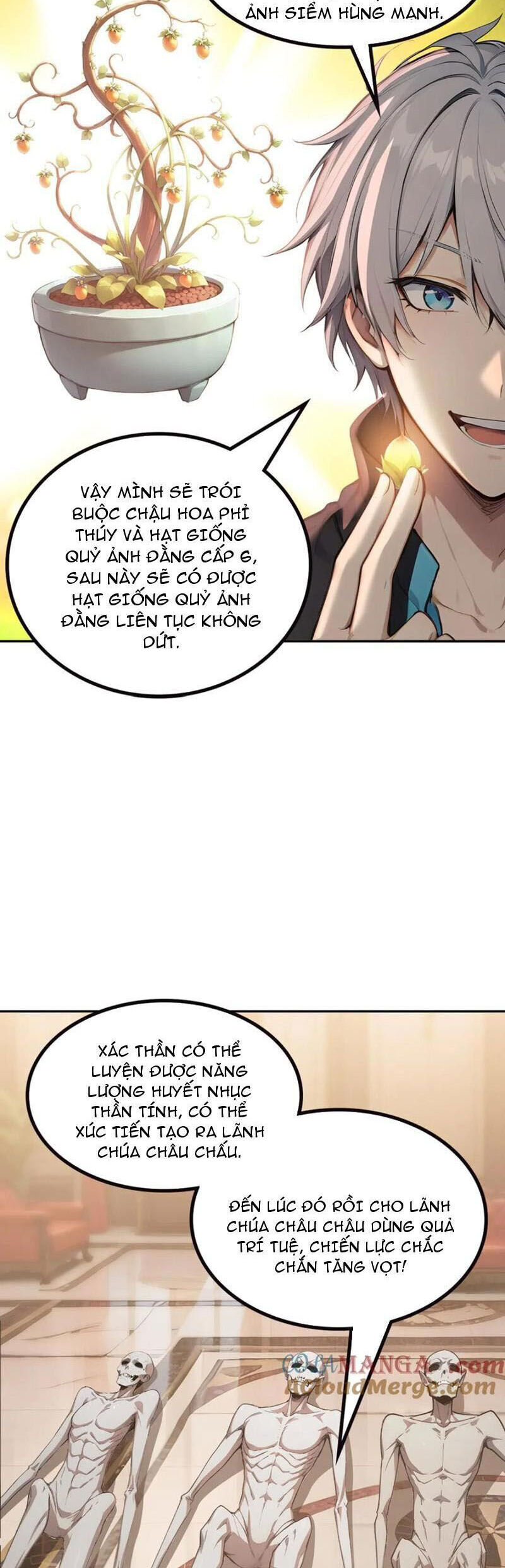 Trang 19