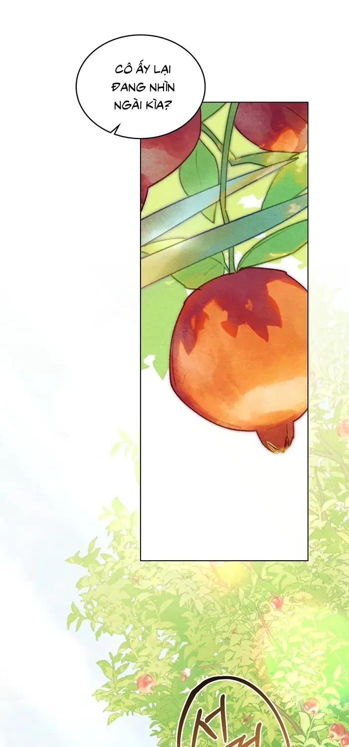 Khu Vườn Tháng Năm - Chap 2 - Trang 21