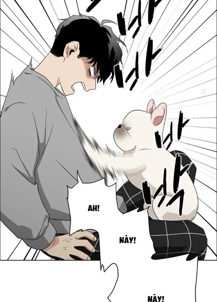 Chapter 1.2 - Trang 82
