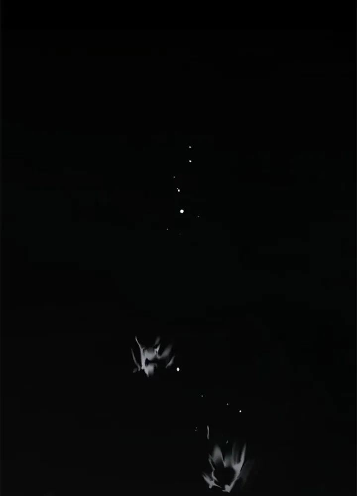 Chapter 1.3 - Trang 58