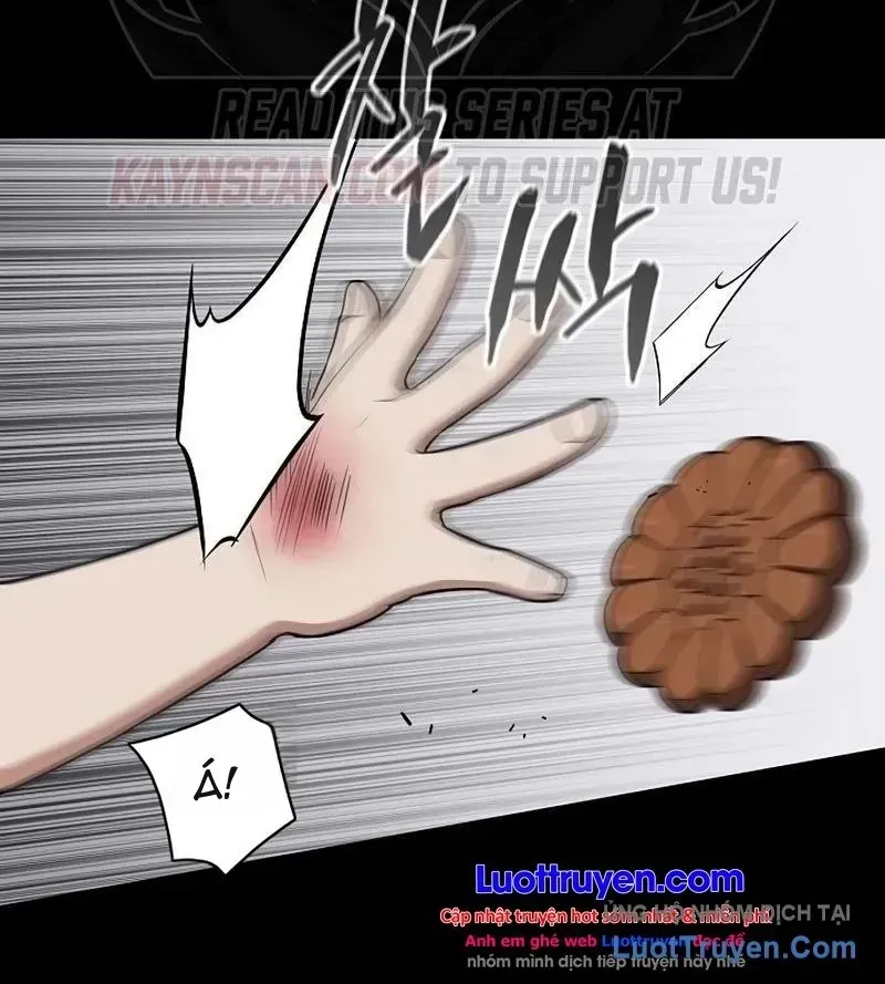 Chapter 113 - Trang 35