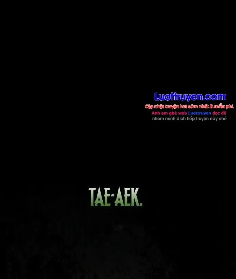 Chapter 113 - Trang 5