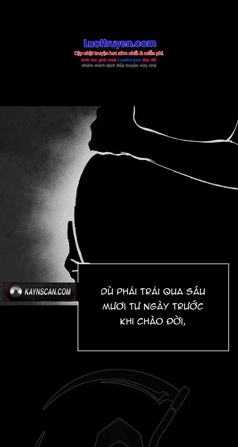 Chapter 113 - Trang 8