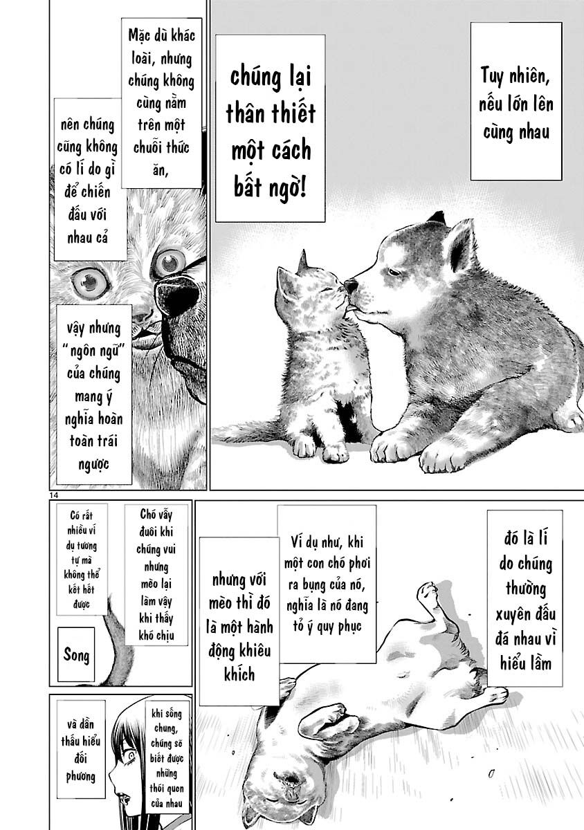 Chương 39 - Trang 17