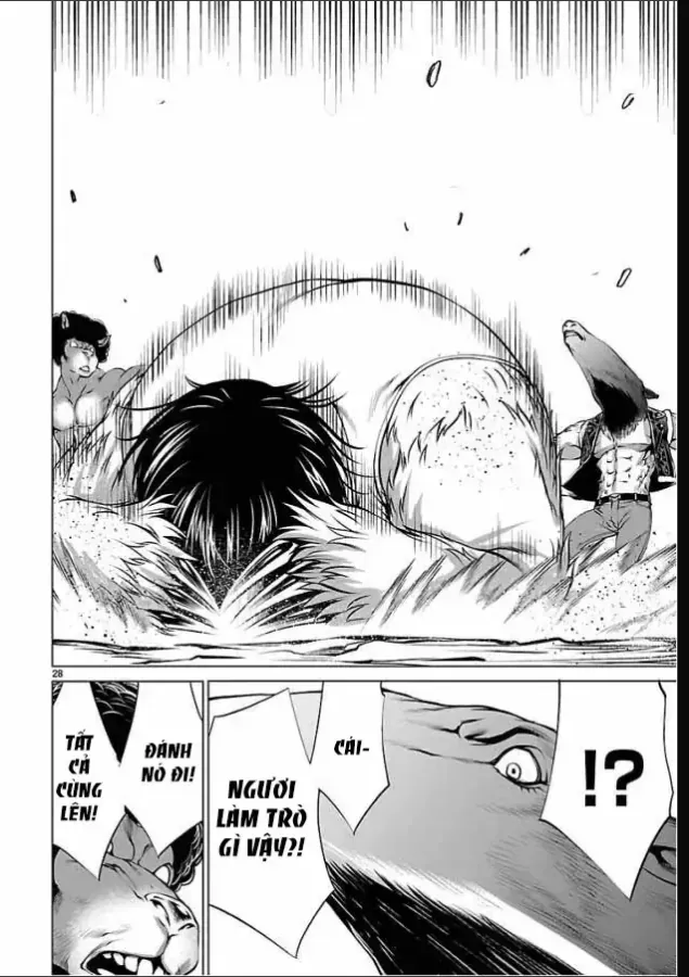 Chapter 51 - Trang 29