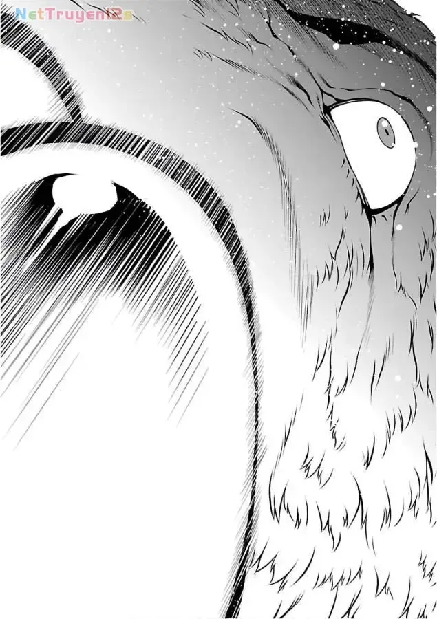 Chapter 52 - Trang 17