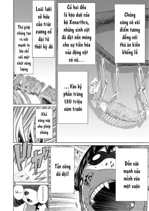 Chapter 52 - Trang 21
