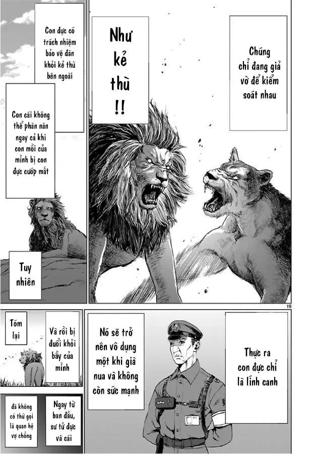 Chapter 53 - Trang 21