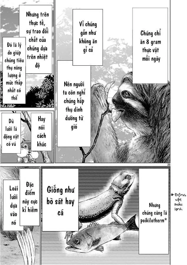 Chapter 53 - Trang 27