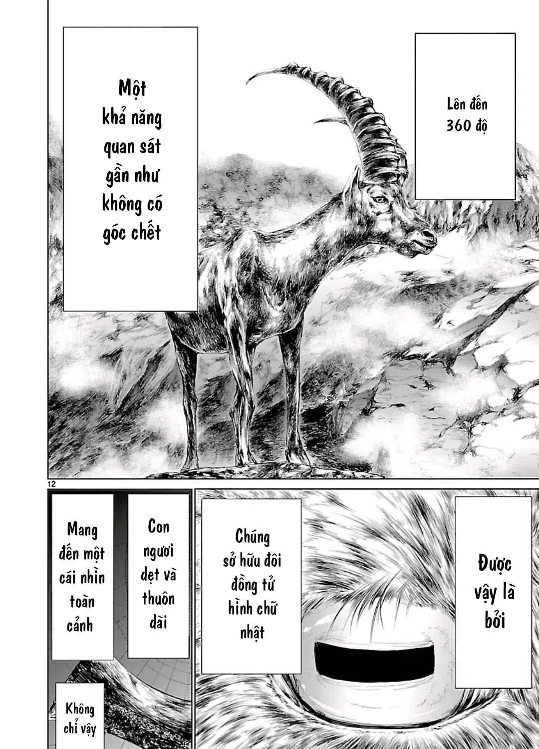 Chapter 56 - Trang 31