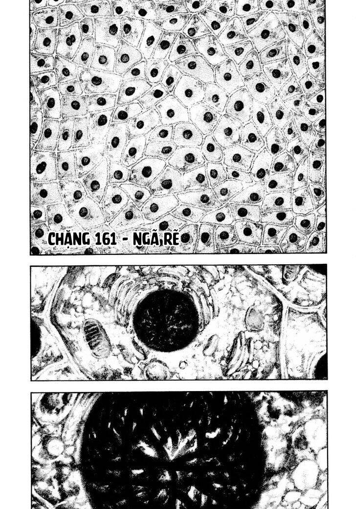 Chương 161 - Trang 2