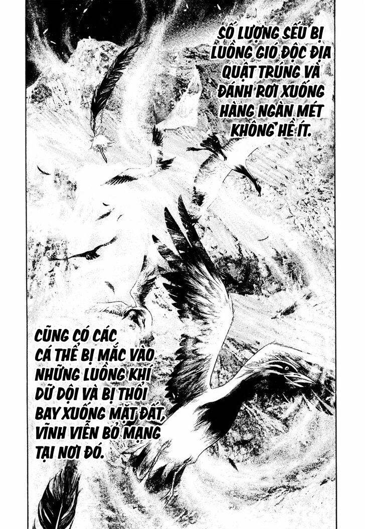 Chương 168 - Trang 13