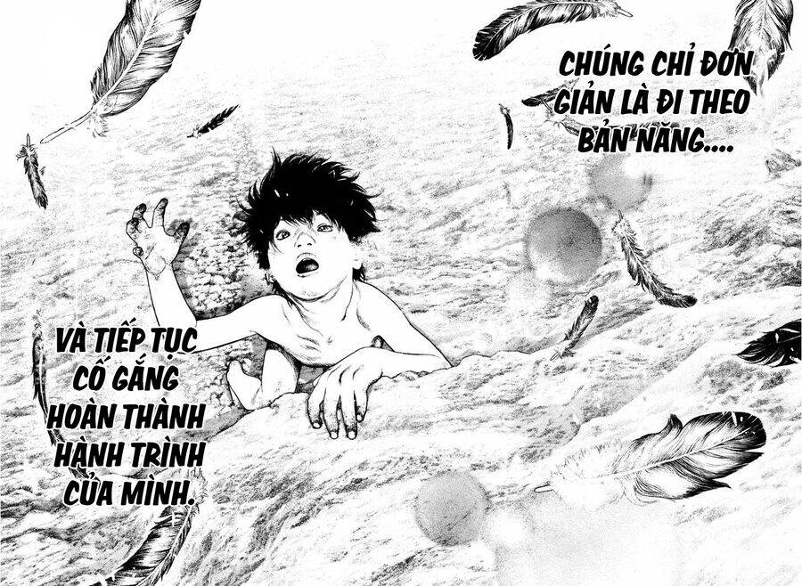 Chương 168 - Trang 18