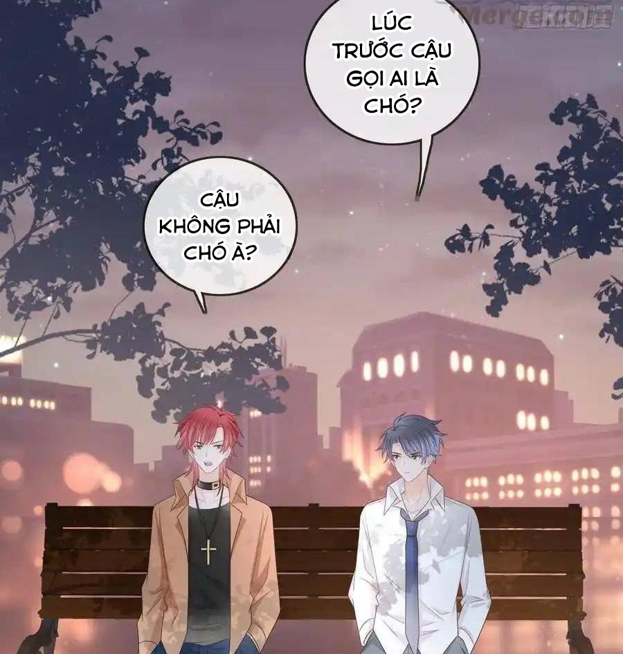 Trang 41