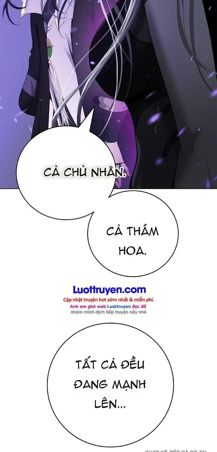 Chapter 244 - Trang 8