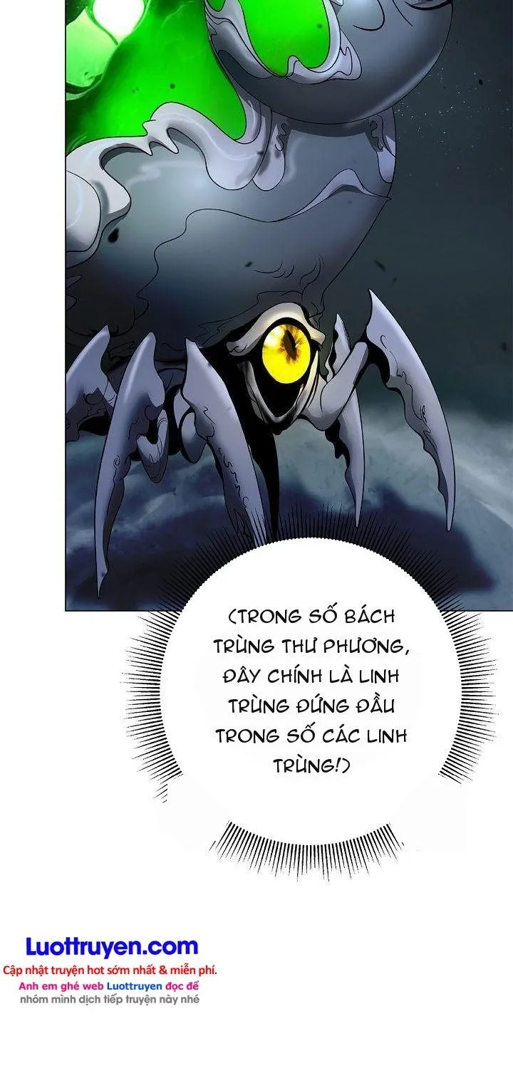 Chapter 245 - Trang 42