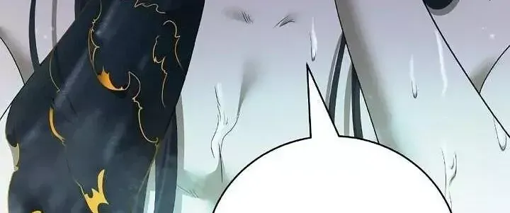 Chapter 253 - Trang 17