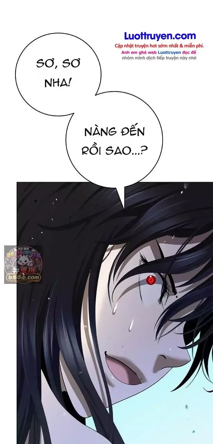 Chapter 253 - Trang 24