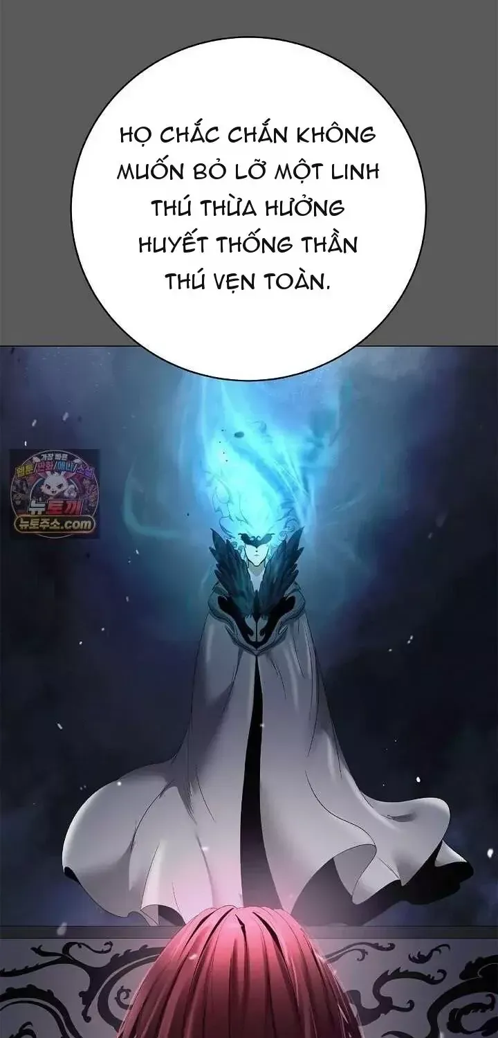 Chapter 253 - Trang 82
