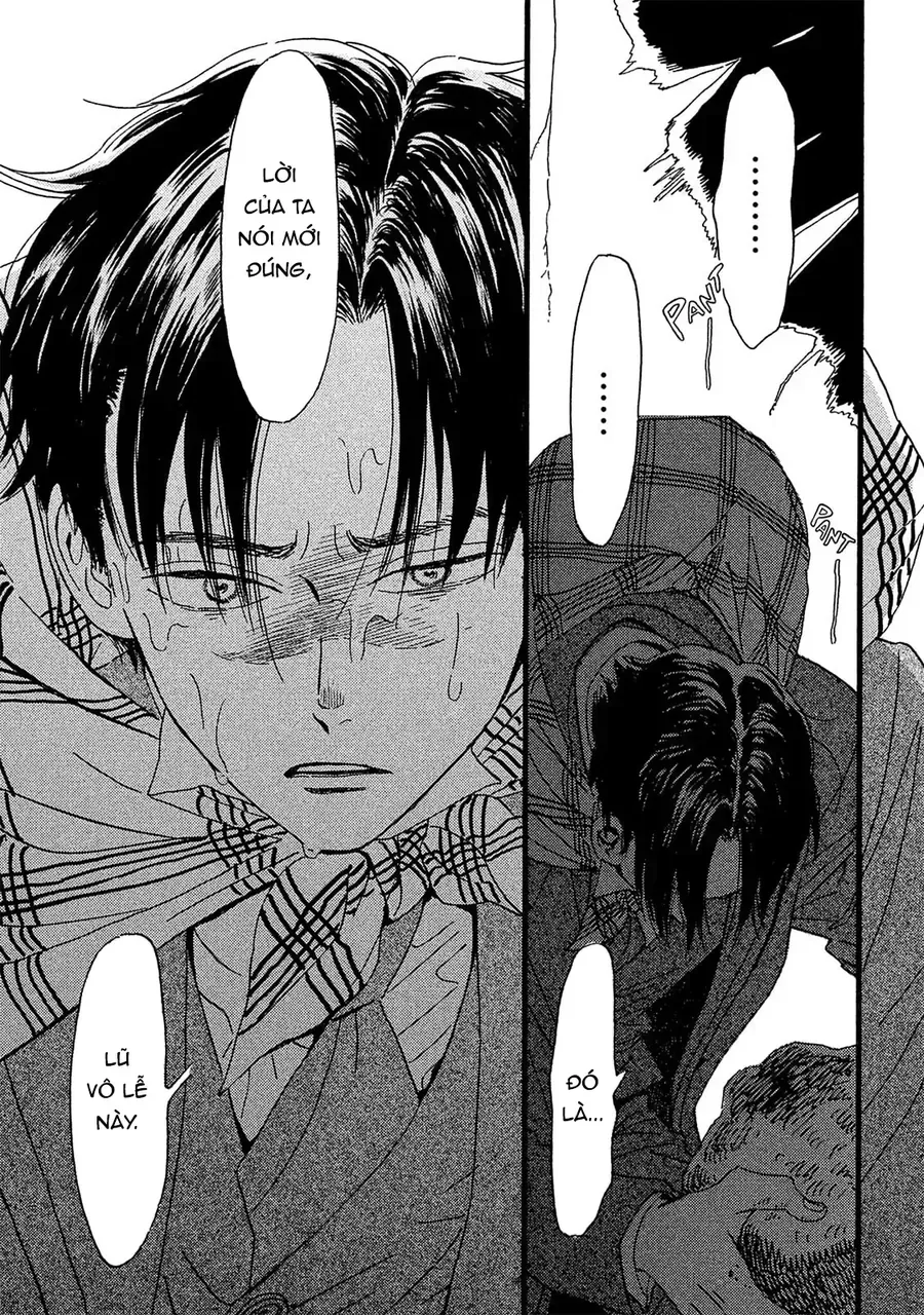 Chapter 11 - Trang 21