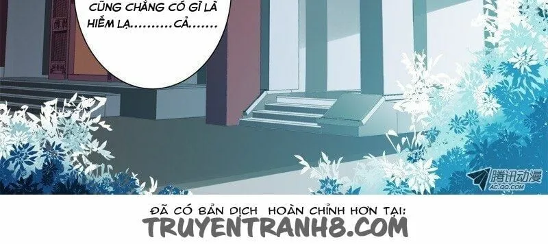 Chapter 19 - Trang 4