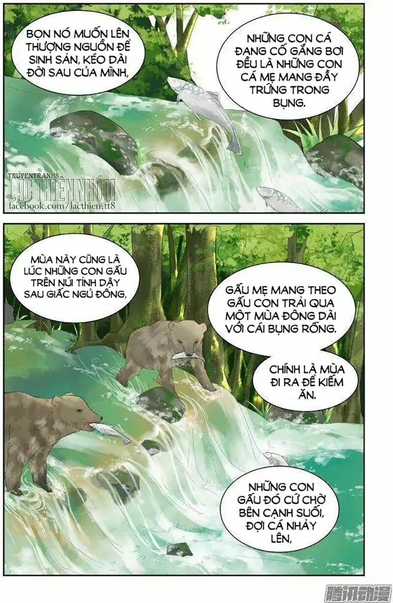 Chapter 228 - Trang 11
