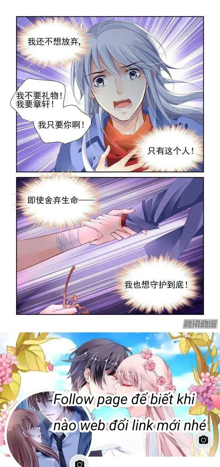 Chapter 237 - Trang 15