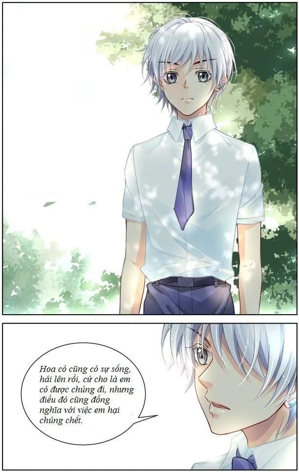 Chapter 288 - Trang 11