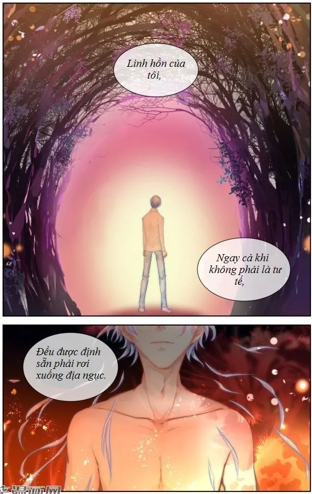 Chapter 294 - Trang 12
