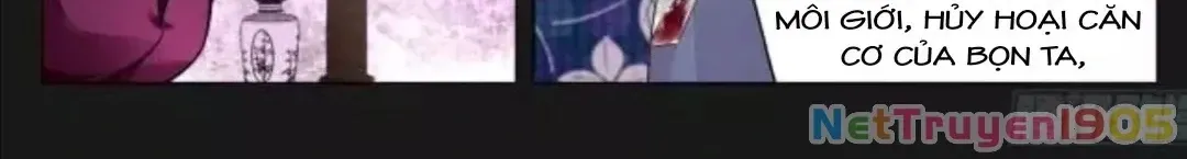 Chapter 336 - Trang 4