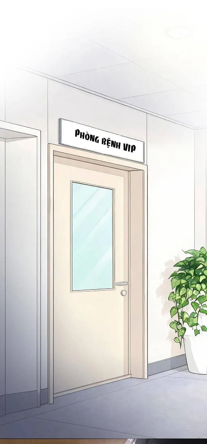 Lời Sám Hối Muộn Màng - Chap 66 - Trang 9