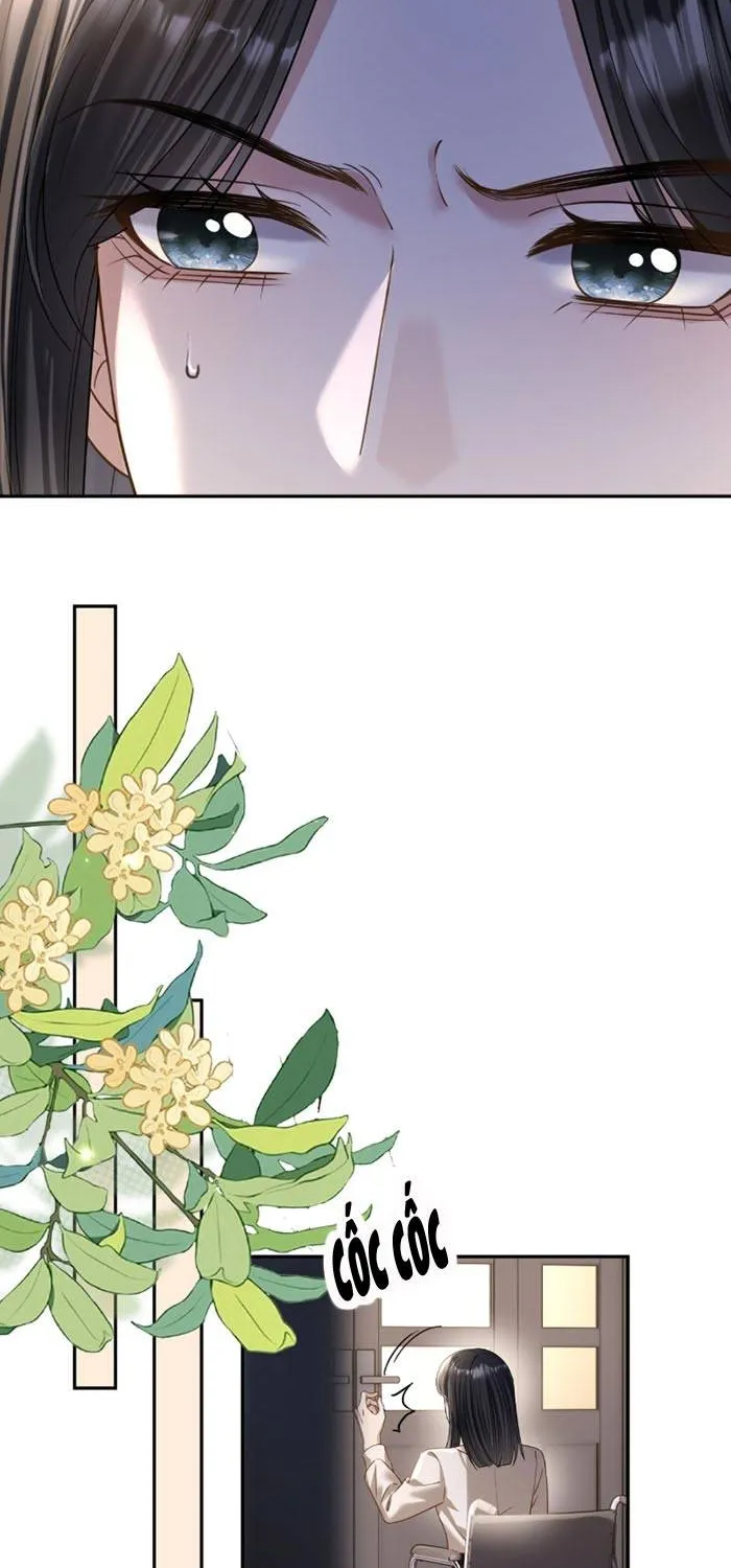Lời Sám Hối Muộn Màng - Chap 70 - Trang 24