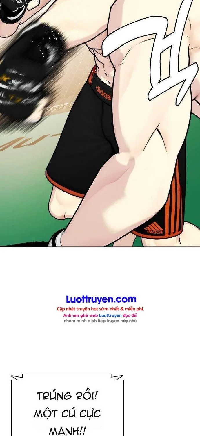 Chapter 166 - Trang 13