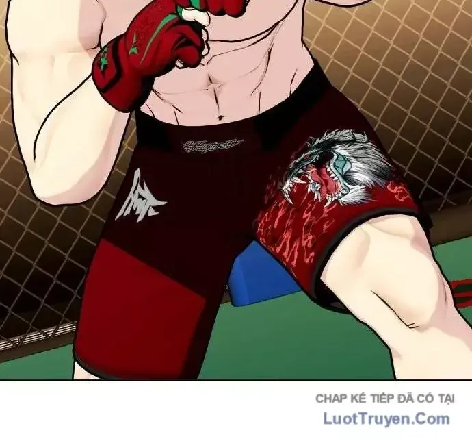 Chapter 178 - Trang 112