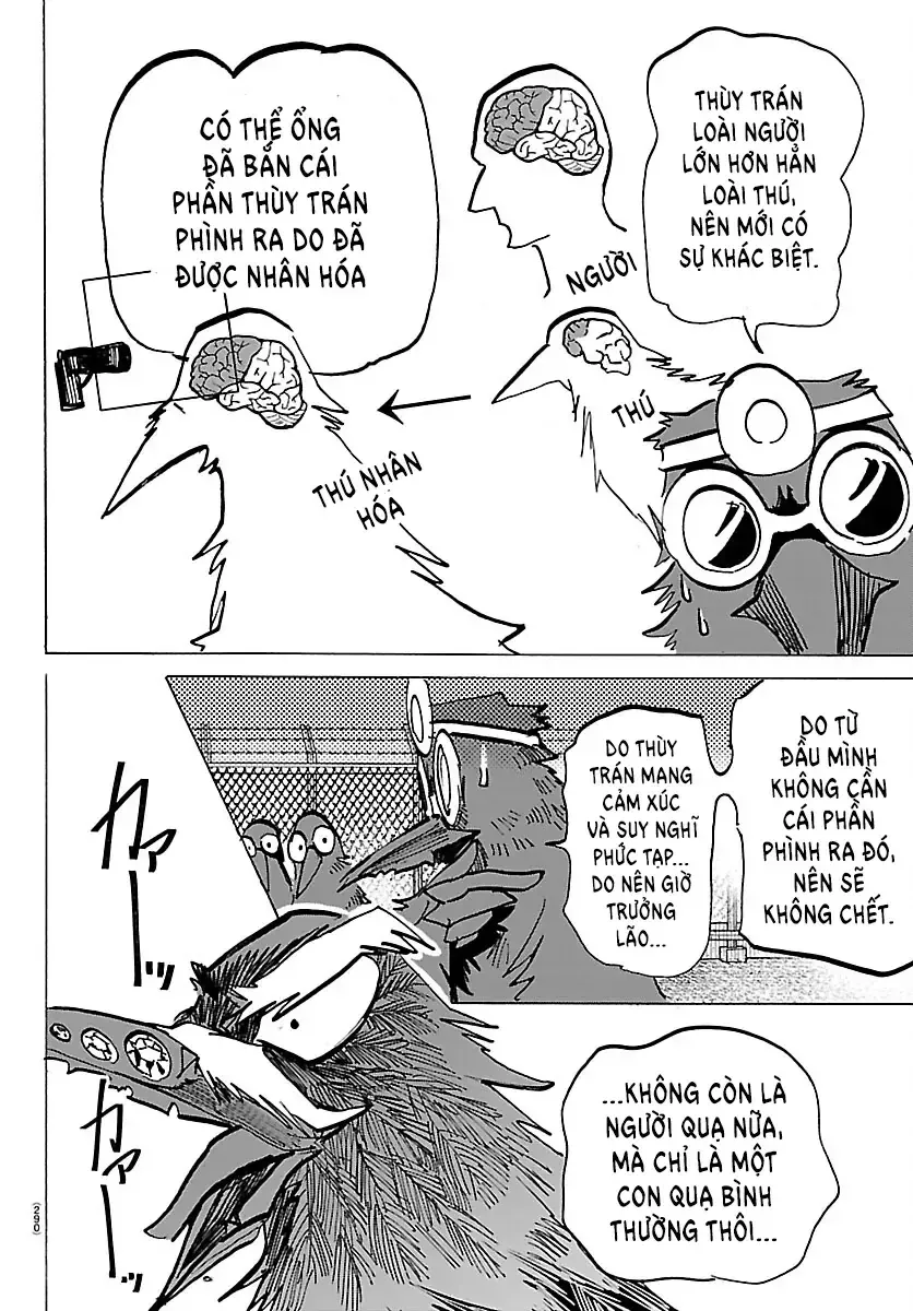 Chapter 74 - Trang 14