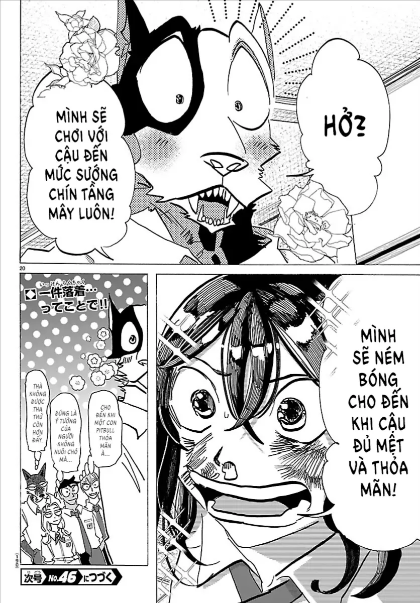 Chapter 84 - Trang 21