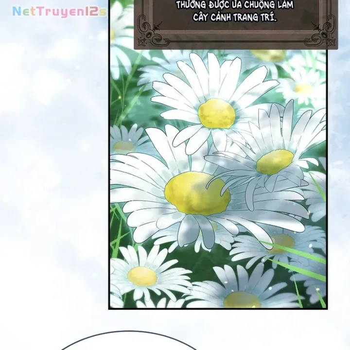 Chapter 21 - Trang 22