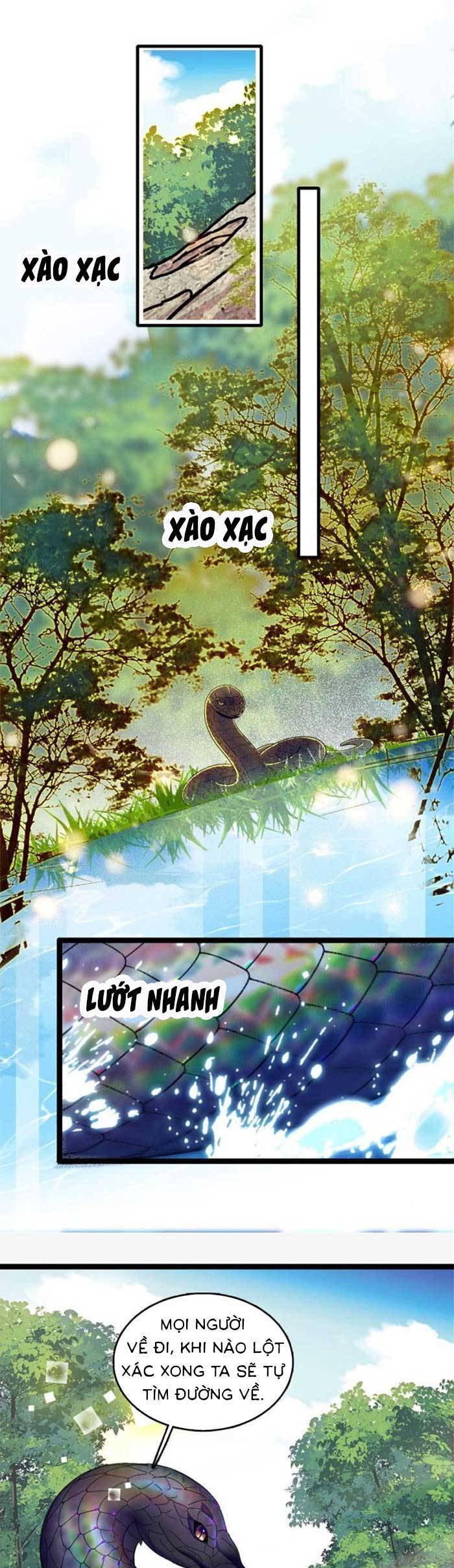 Chương 196 - Trang 5